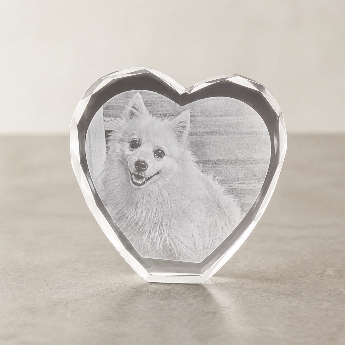 Figurami 2026 — Cœur transparent personnalisé avec portrait de chien