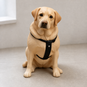Figurami 2026 — Figurine de labrador peinte à la main, sans socle